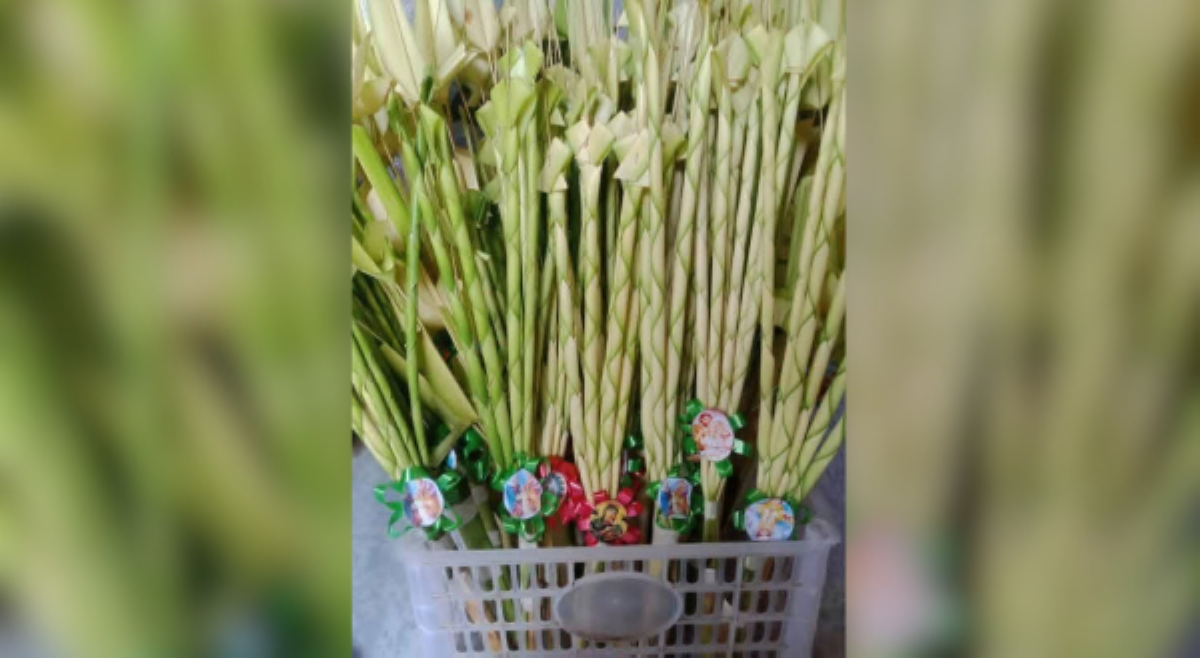 #BalitaExclusives: Ang palaspas, simbolo ng pagpupugay at pagiging simple