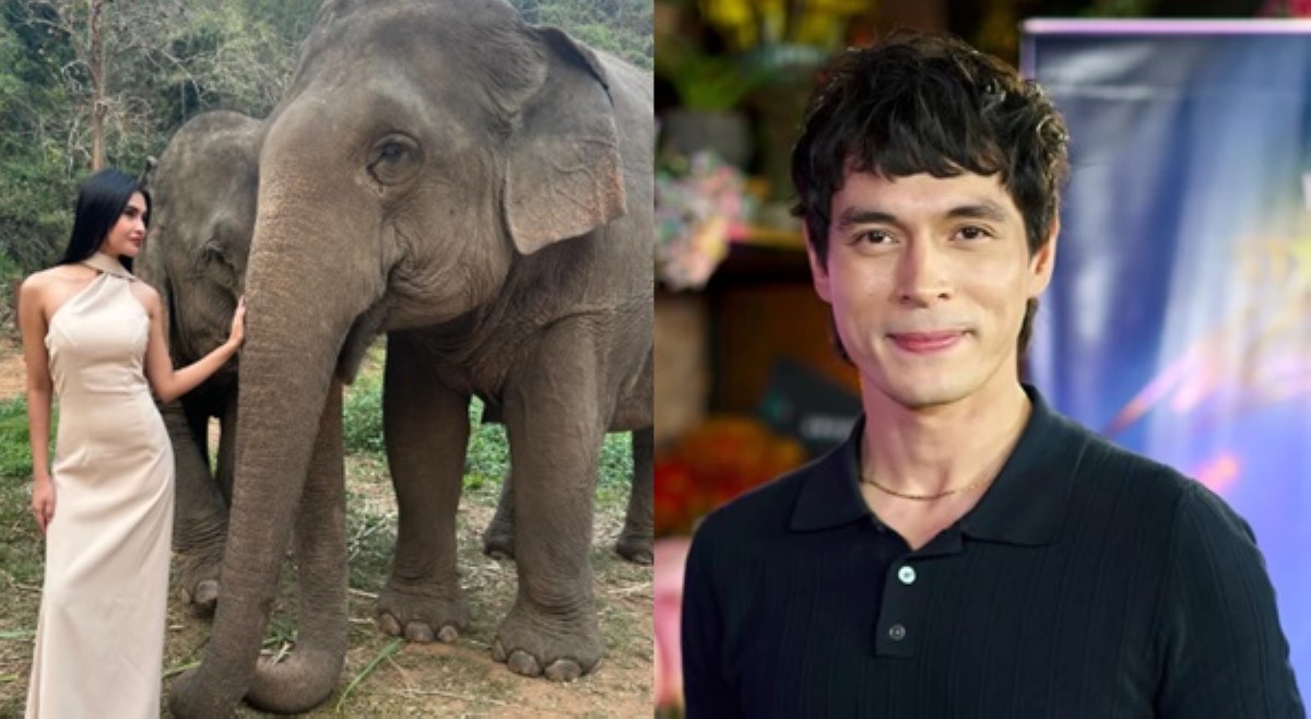 Dinaan sa elepante: Jake Cuenca, Rabiya Mateo 'nagharutan' sa socmed!