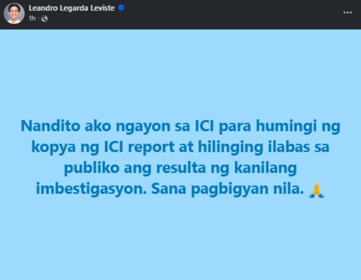 Photo courtesy: Rep. Leandro Leviste (FB)