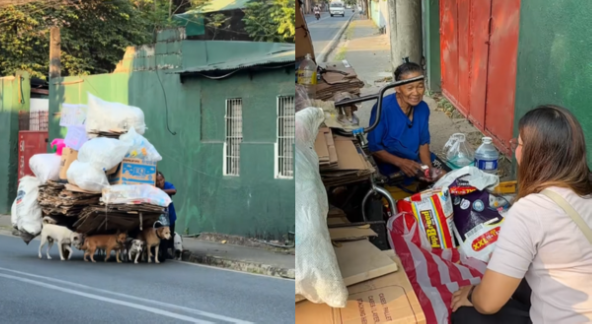 #BalitaExclusives: &lsquo;Patas na lumalaban!&rsquo; Babaeng nangangalakal kasama mga aso&rsquo;t pusa, kinaantigan