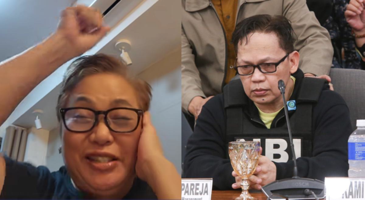 'Hawak mo ang script:' Guanzon, pumatutsada sa testimonya ni Madriaga