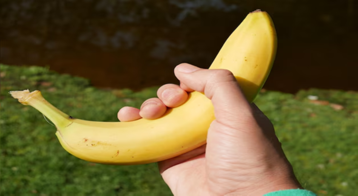 ALAMIN: Paglantak ng banana, nagdudulot ng sagad na ligaya!