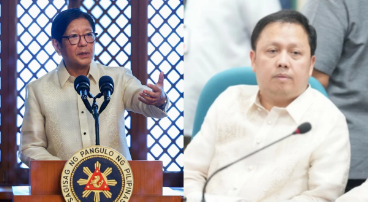 Zaldy Co, tiklo sa pagpasok sa Czech Republic&mdash;PBBM
