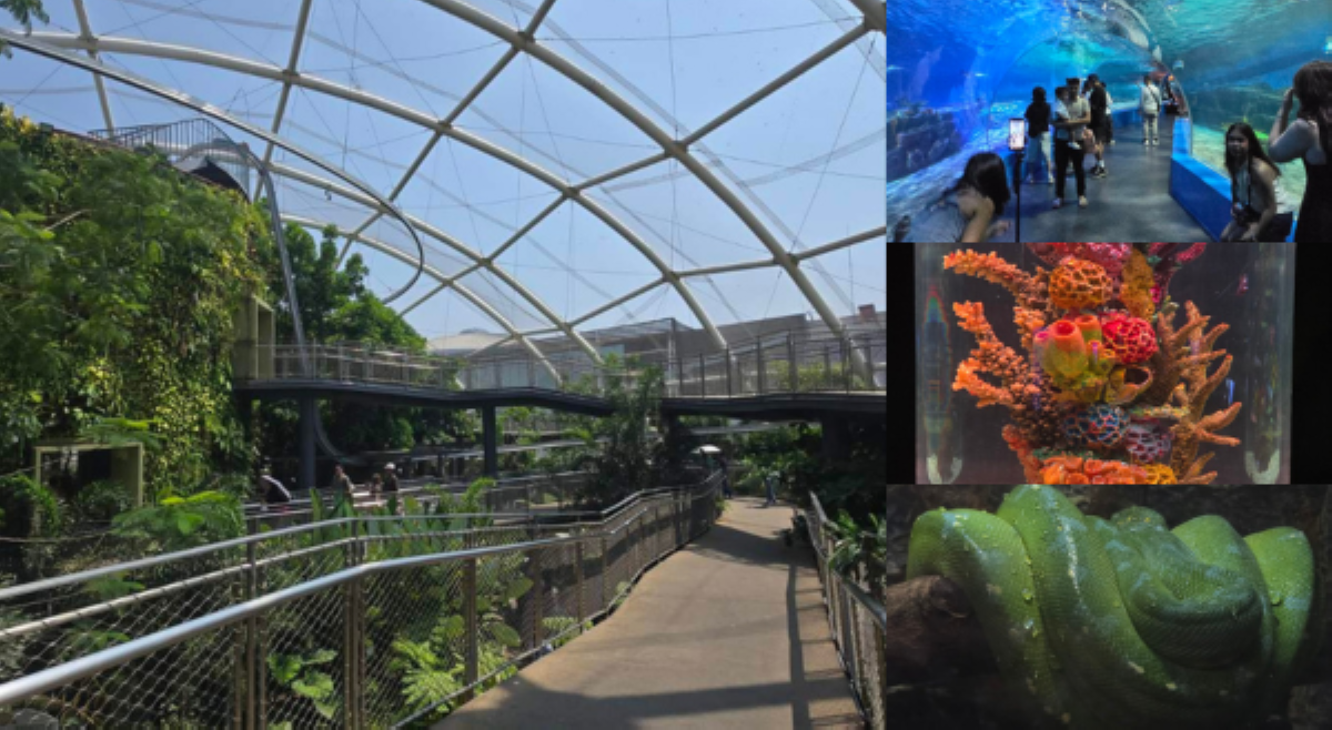 Worth it pa bang puntahan ang Manila Ocean Park?