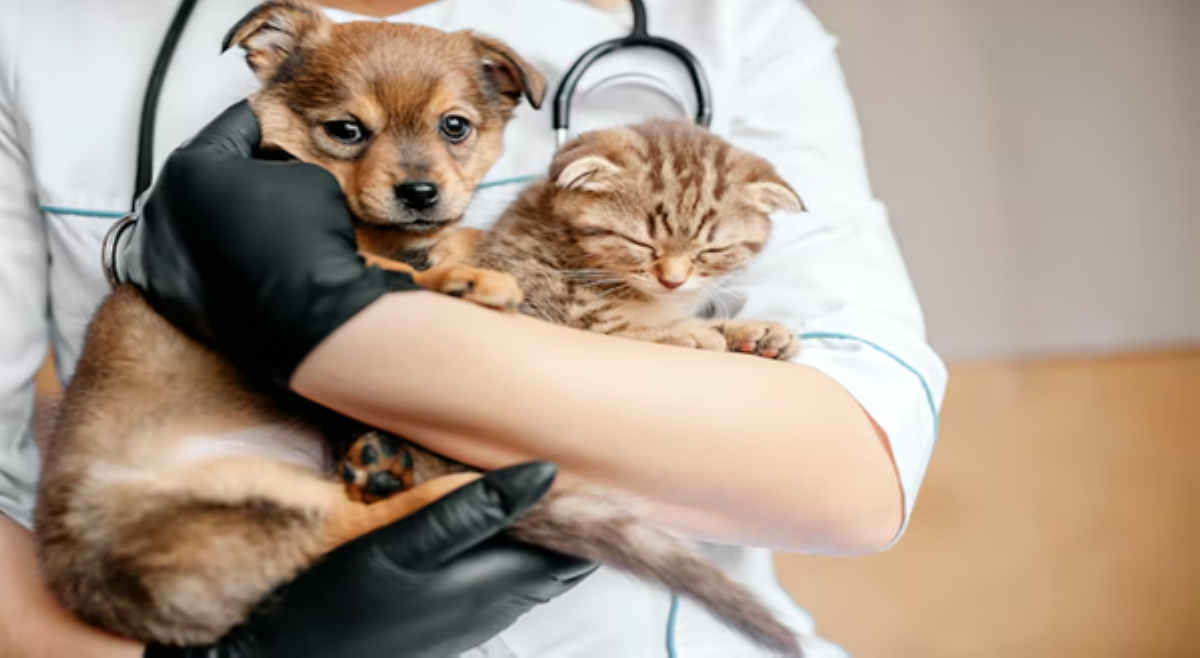 Pagbisita sa beterinaryo, indikasyon ng responsableng pet ownership!