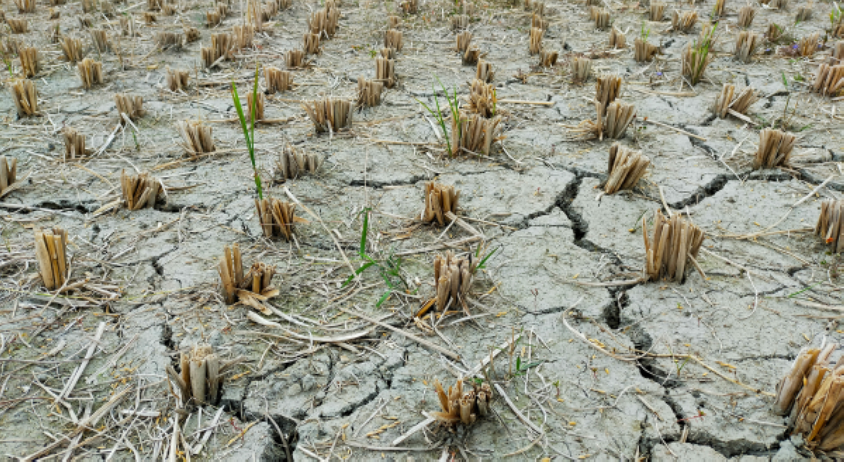 'National Climate Emergency,' panawagan ng isang environmental group sa bansa