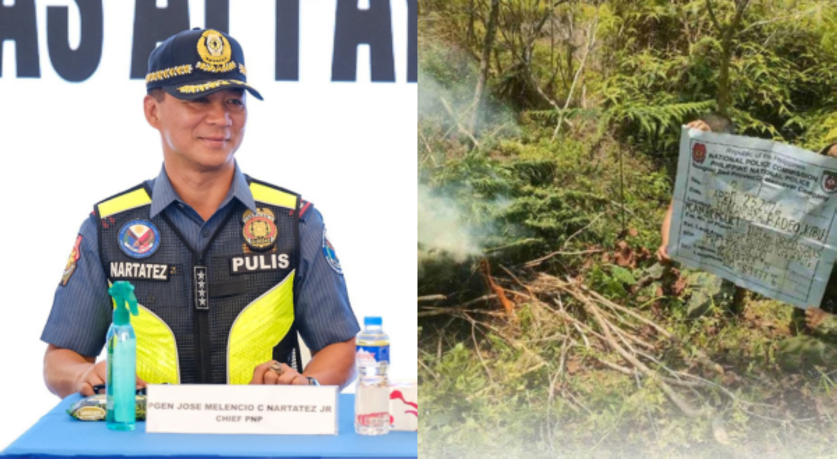 Nartatez, iginiit patuloy na kampanya vs ilegal na droga