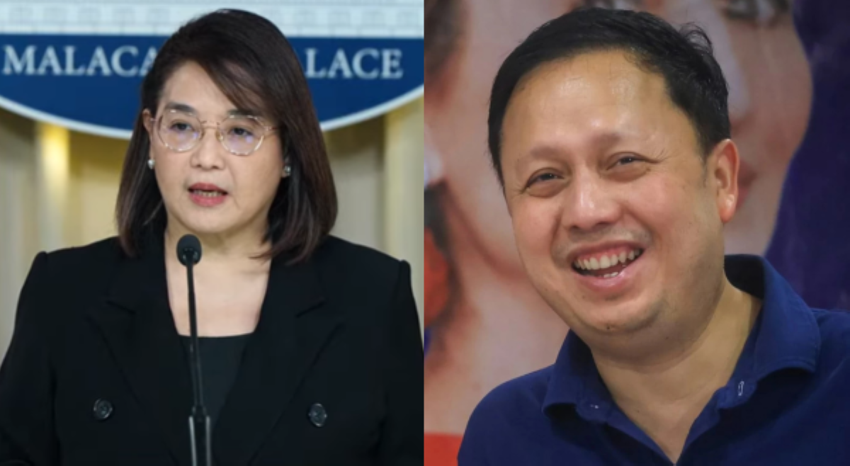 Zaldo Co, umapela ng political asylum sa France&mdash;Palasyo