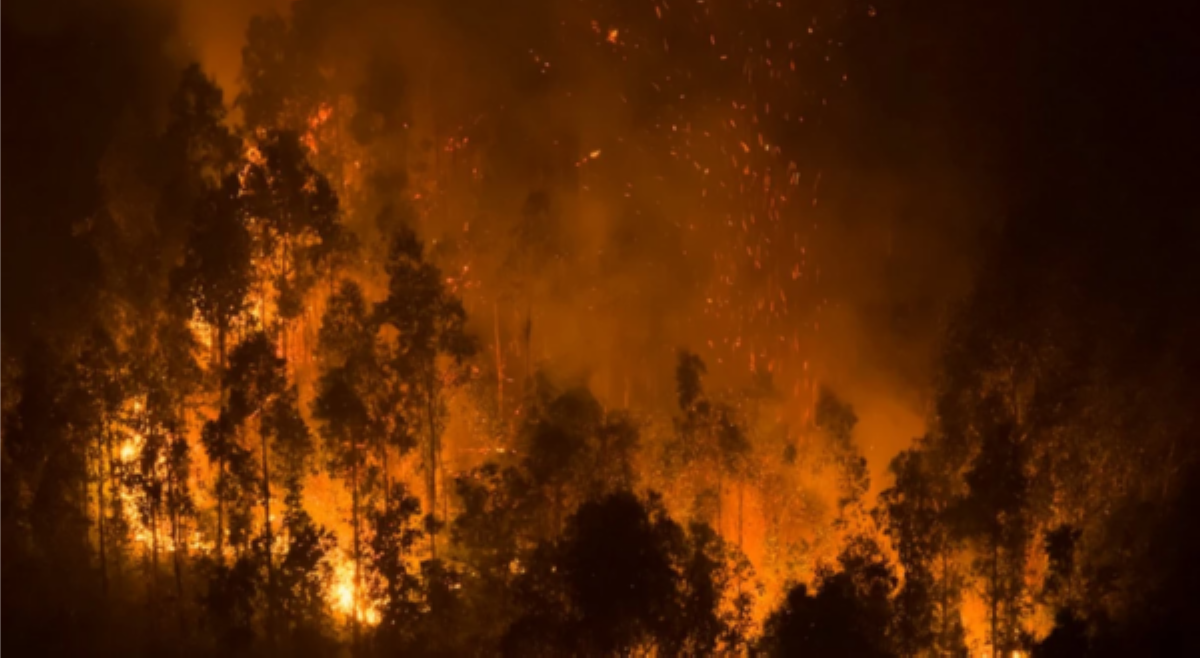 ALAMIN: 10 pinakamalaking wildfire sa kasaysayan ng mundo