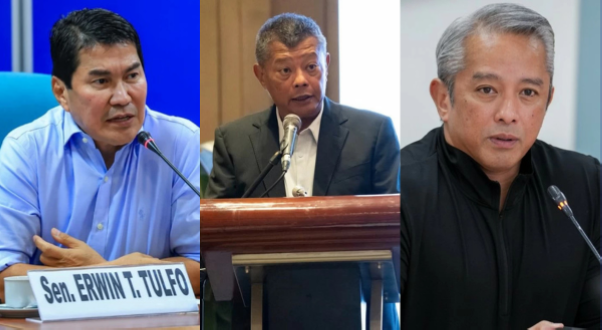 Remulla brothers, puwedeng tumapat kay VP Sara&mdash;Sen. Erwin