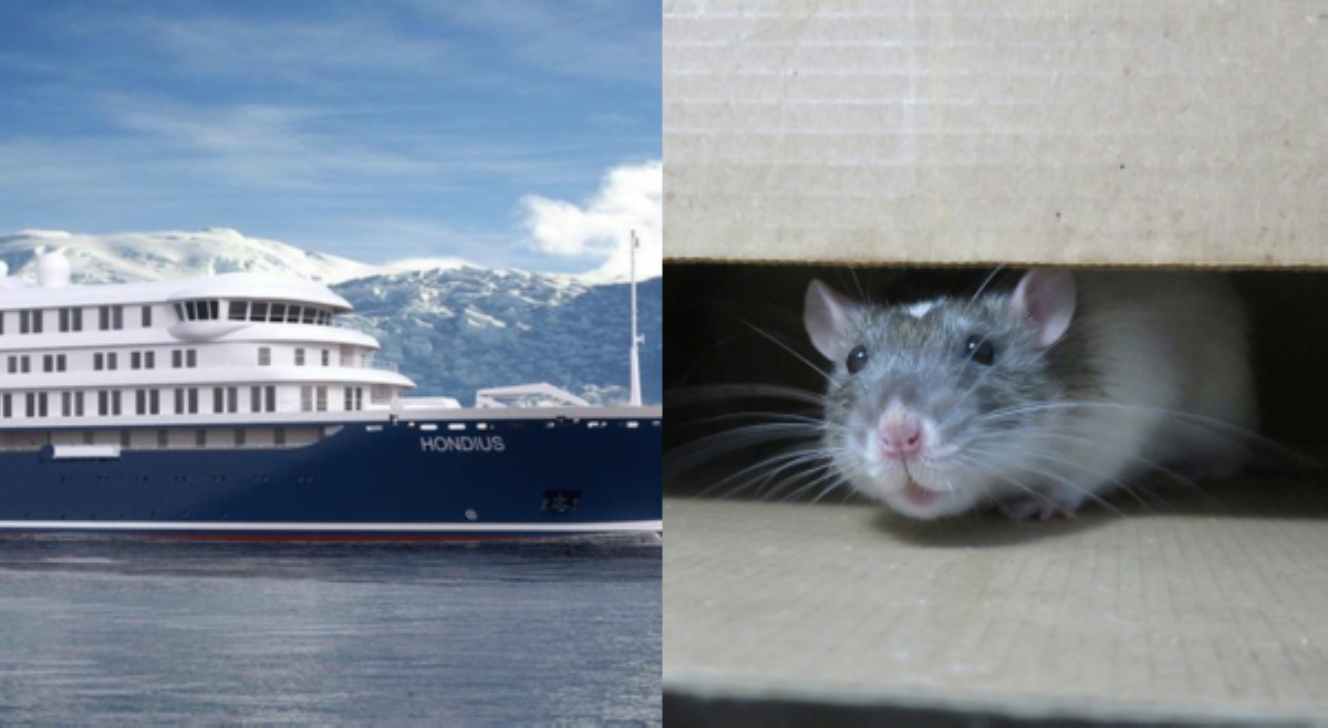 ALAMIN: &lsquo;Hantavirus&rsquo; infection na hinihinalang kumitil sa tatlong cruise ship passengers
