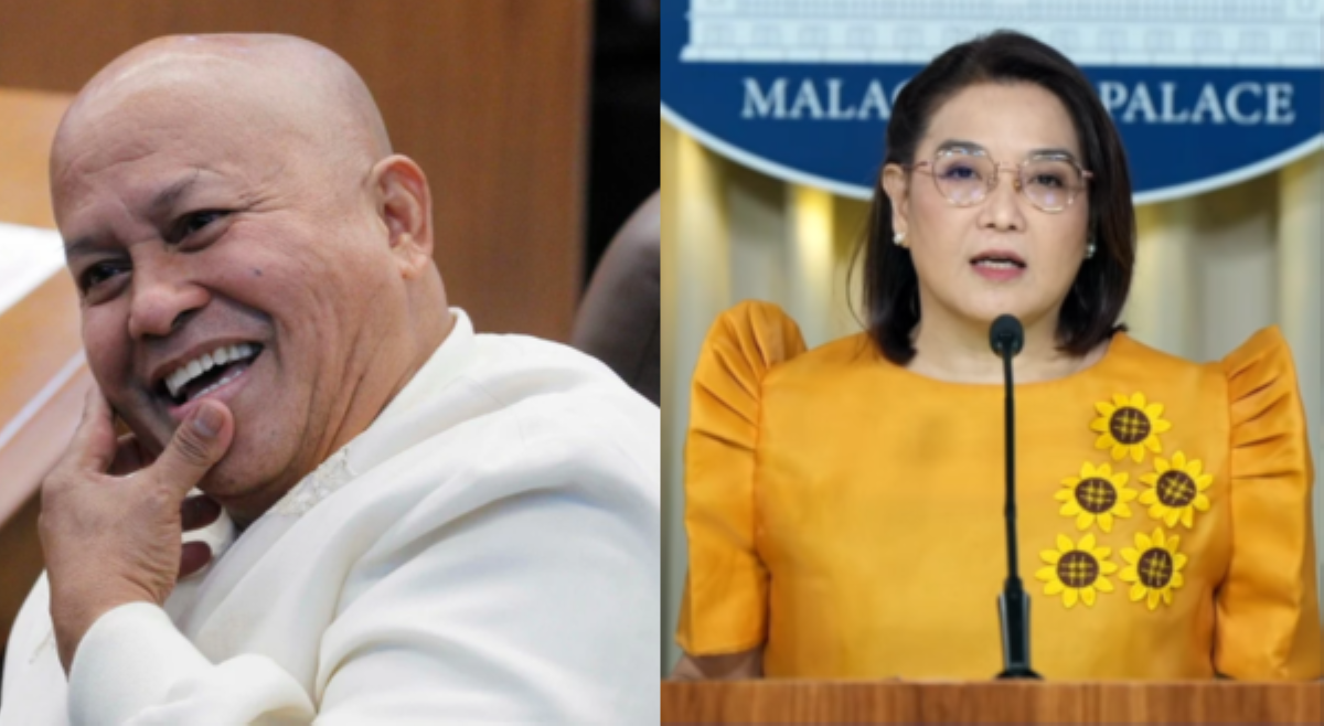 Dela Rosa, nagpasalamat kay Castro matapos tiyaking poprotektahan siya nang 'naaayon sa batas'