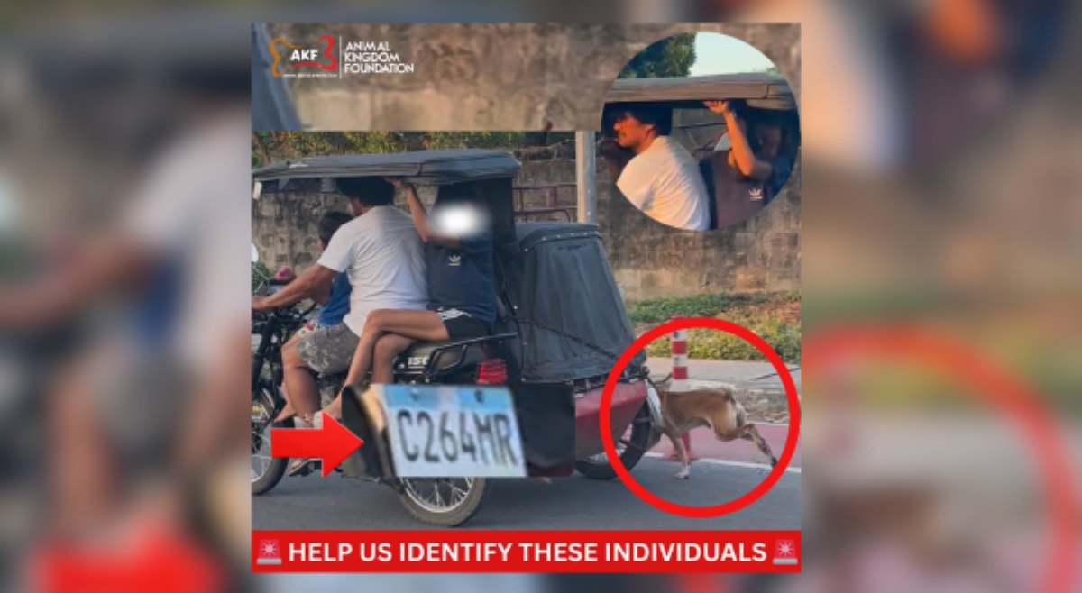 Tricycle driver na kumaladkad sa isang aso, pinaghahanap na!