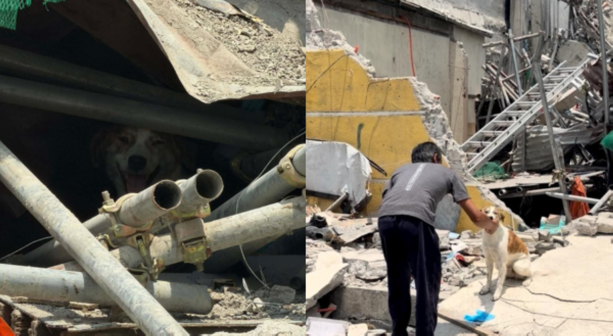 Aso ng isang construction foreman, na-rescue sa gumuhong gusali sa Pampanga