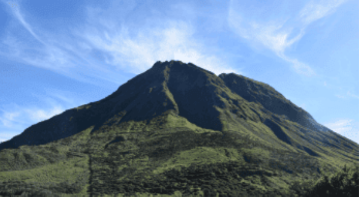 Hiker na nahulog sa Mt. Apo dahil sa selfie, ligtas na!