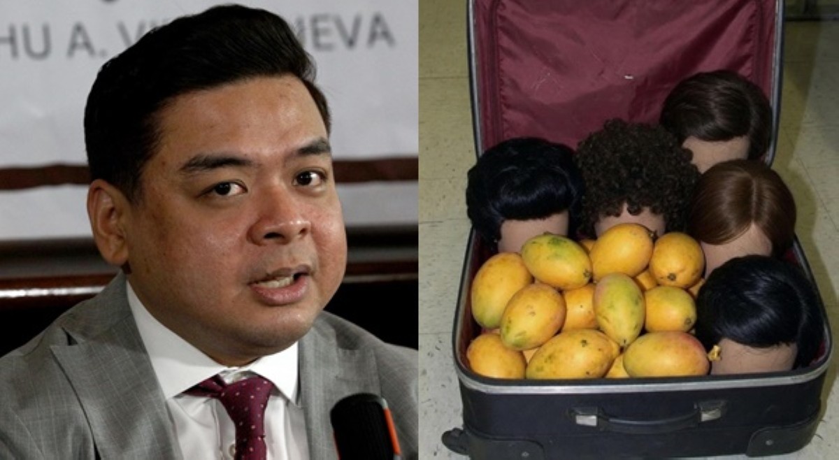 Terry Ridon, pinasilip laman ng &lsquo;maleta&rsquo;