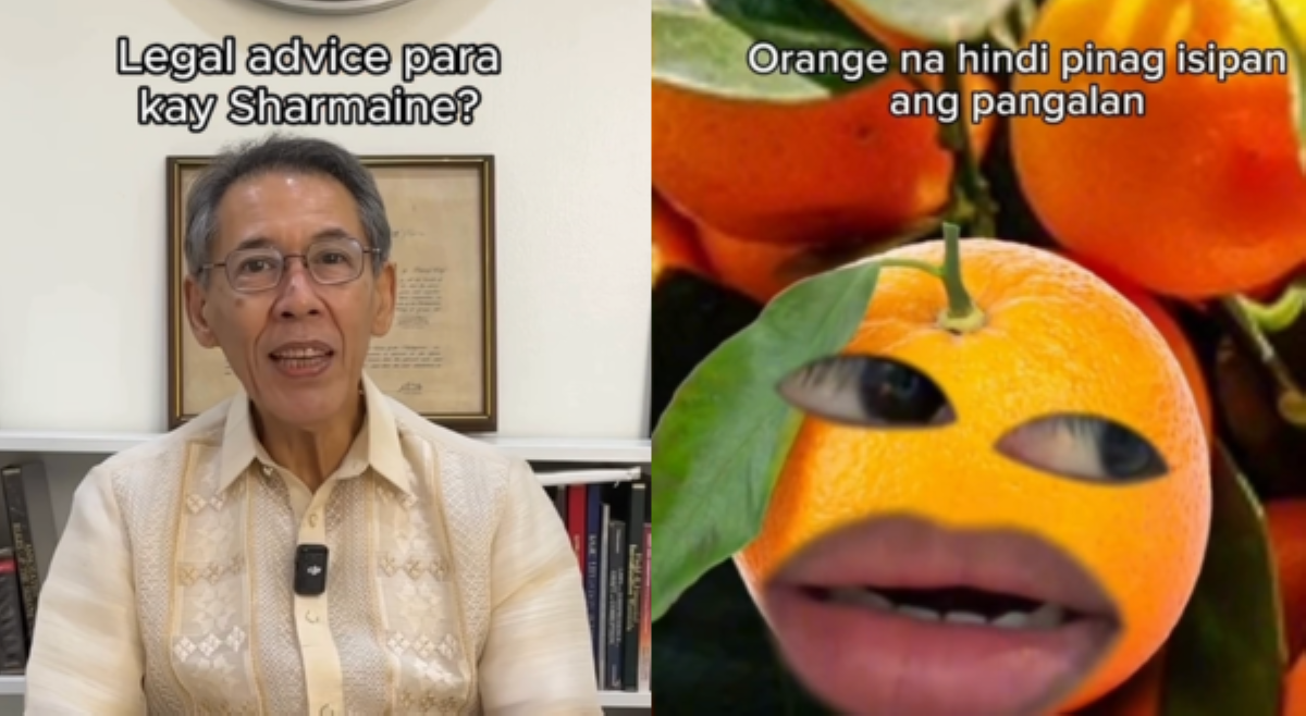 Rep. Chel Diokno, may legal advice para kay 'Sharmaine'