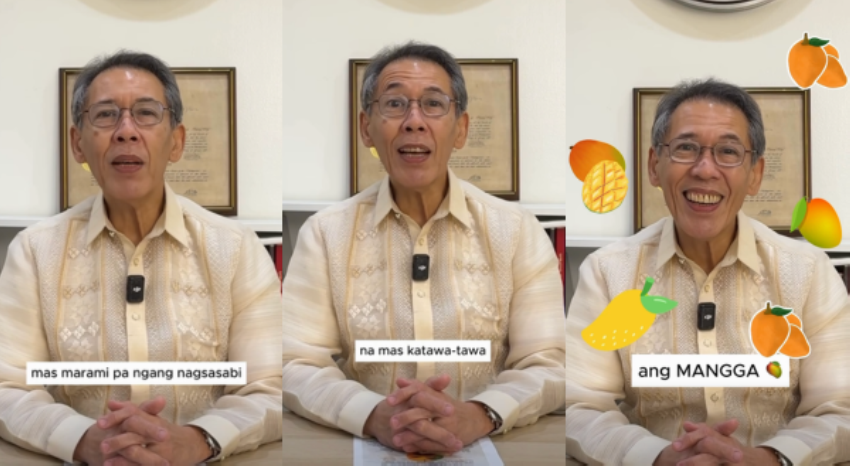 Rep. Chel Diokno kay 'Sharmaine': Mas katawa-tawa ang mangga