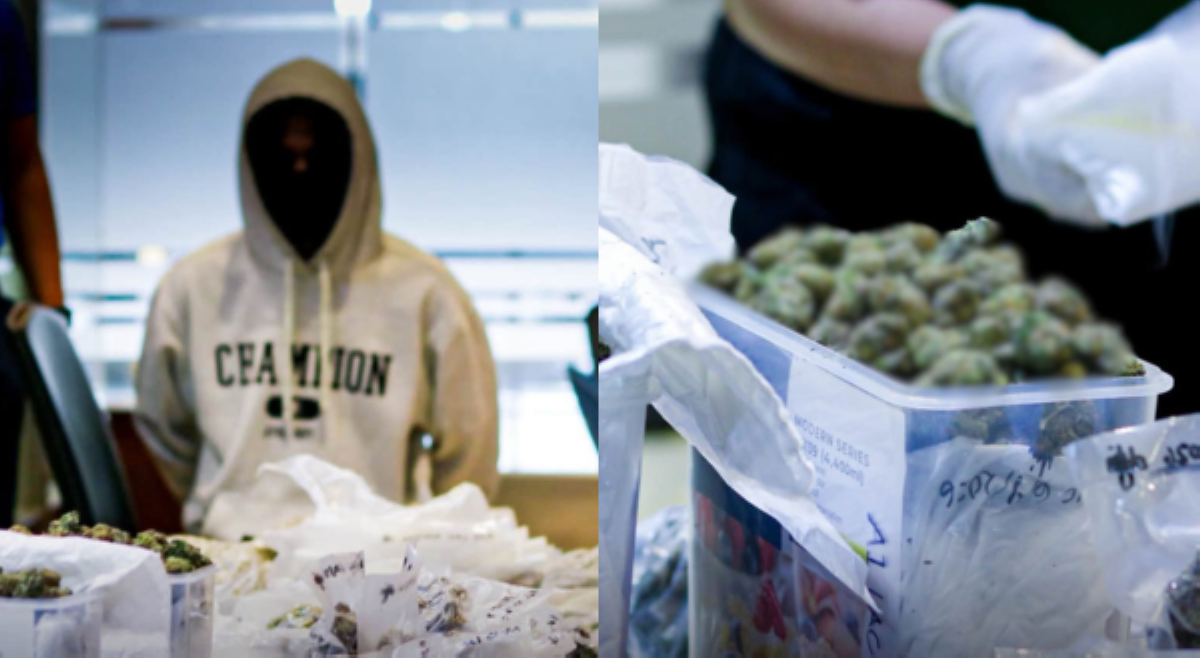 ₱13.3M na marijuana, nakulimbat ng BOC-NAIA sa pasaherong mula sa Thailand