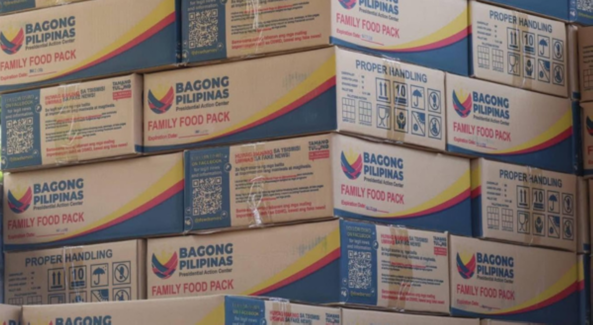 DSWD, inihanda 1.1M food packs, 80k NFIs para sa mga apektado ng magnitude 7.8 na lindol