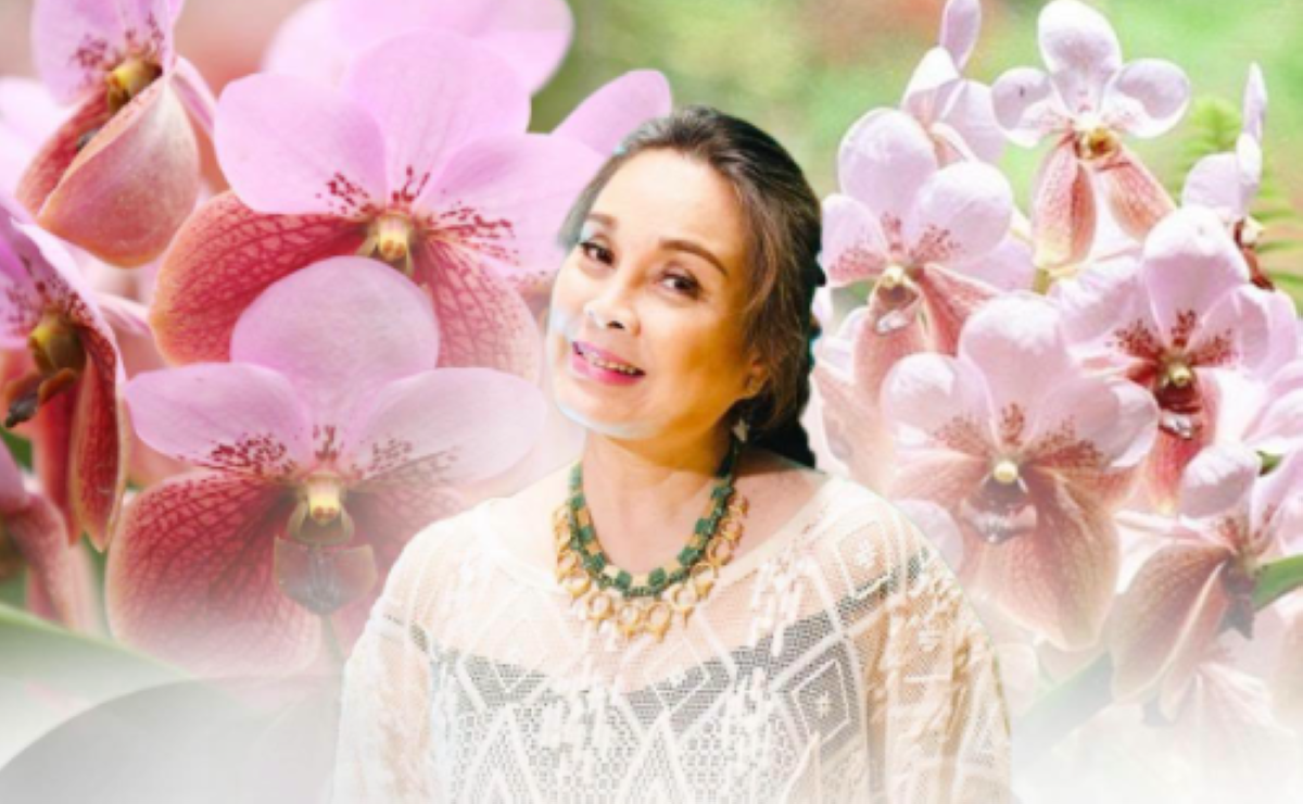 Sen. Loren, nagalak na pasado na sa third reading ang bill niya tungkol sa waling-waling