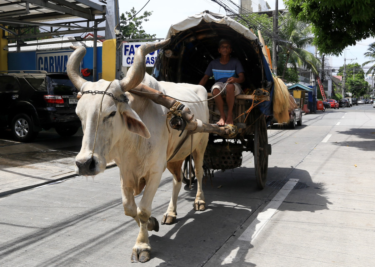 #BALITAnaw: 'Viajero' o cattle caravan, uso pa ba sa mga lansangan?