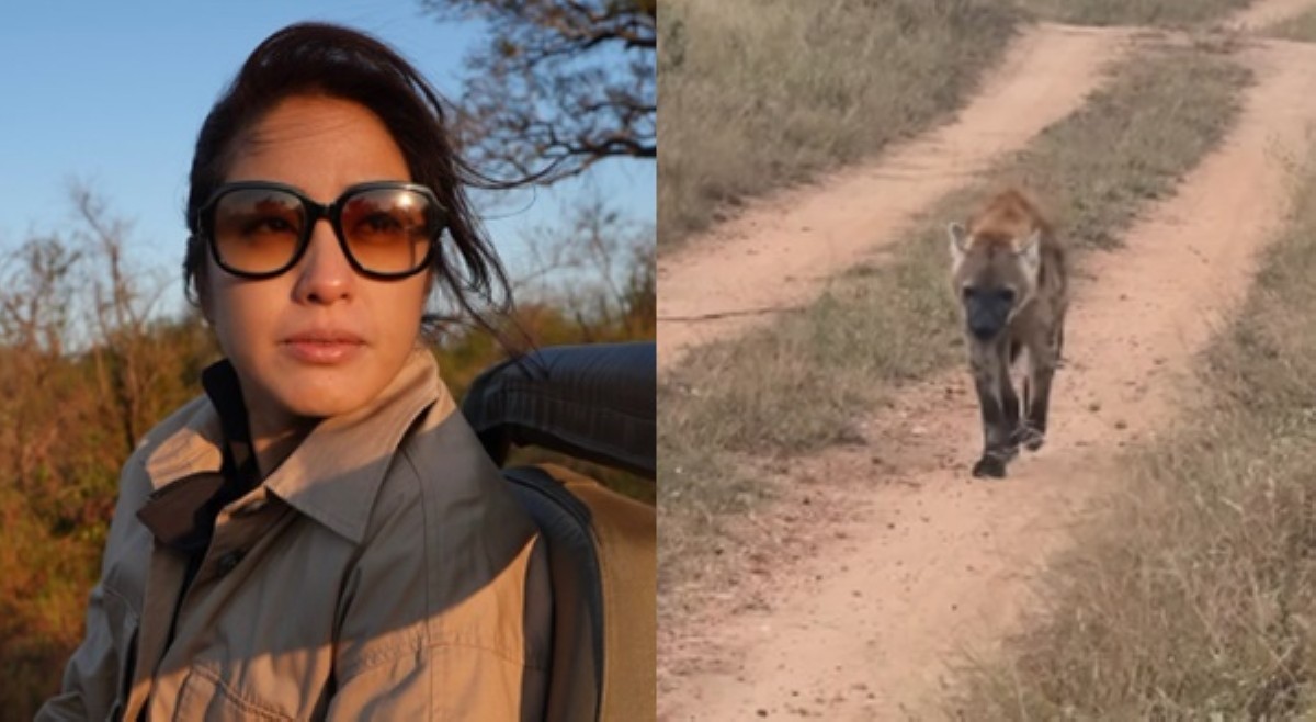 Gretchen Ho, muntik atakehin ng spotted hyena