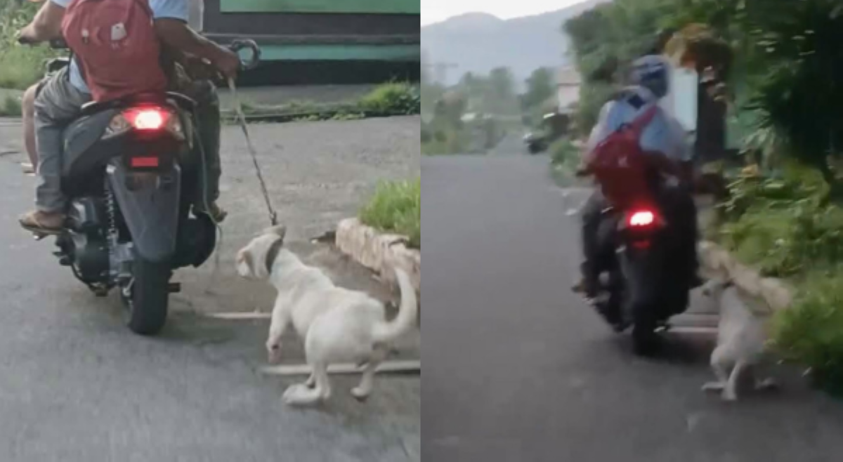 Mga rider na nangaladkad ng asong nakatali, pinaghahanap!