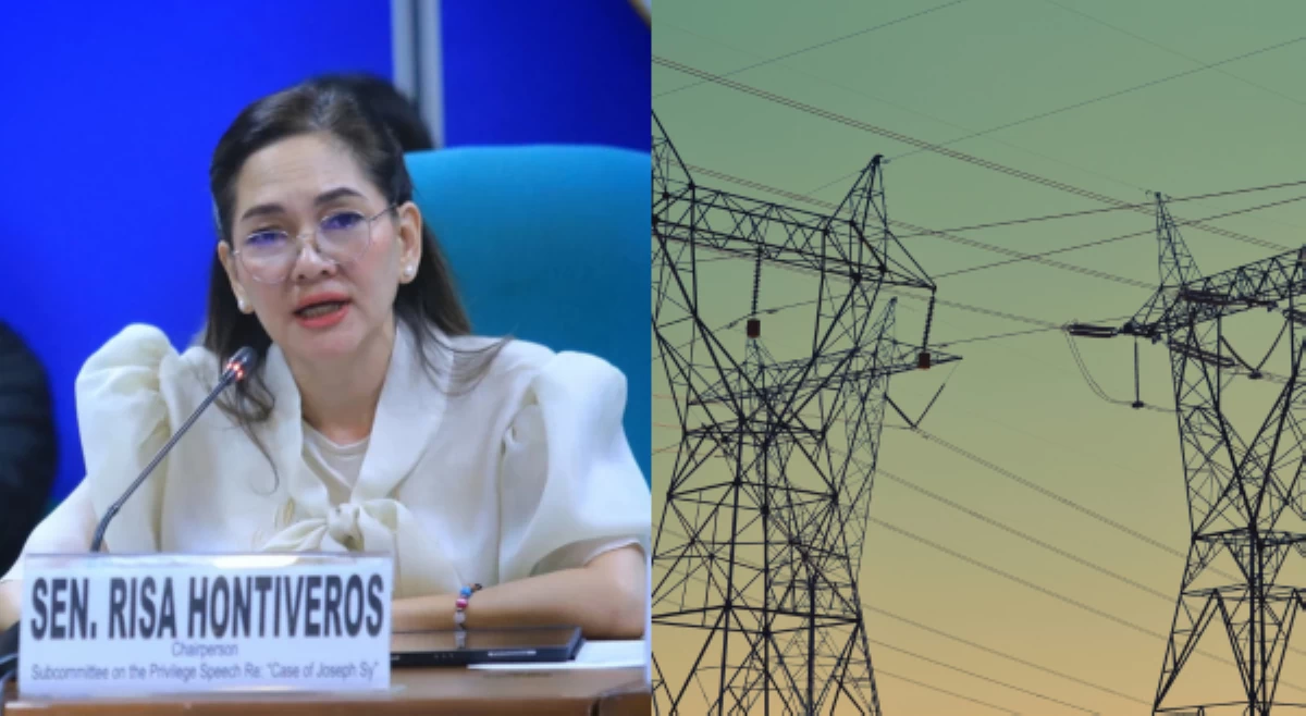 &lsquo;No disconnection&rsquo; policy sa kuryente, panawagan ni Sen. Risa
