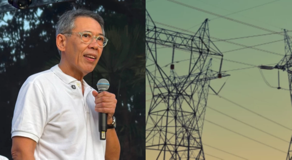 System loss charge, huwag nang ipasa sa consumers!&mdash;Diokno