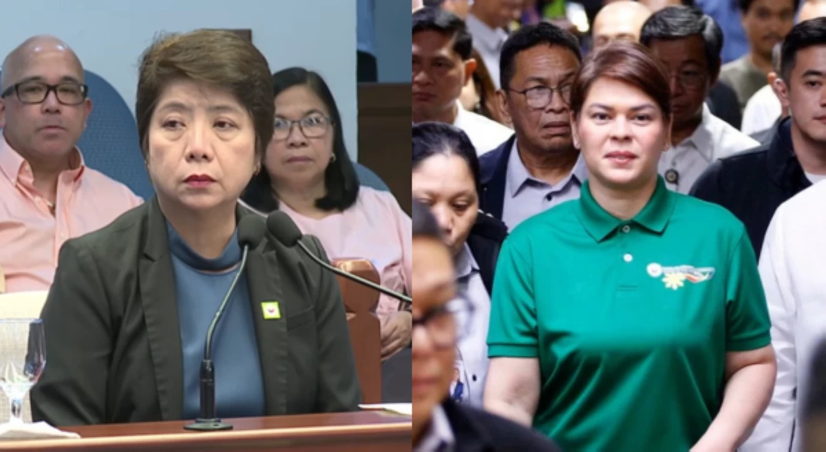 Orihinal na copies ng tseke na in-encash ng OVP, shredded na&mdash;Violeta Constantino