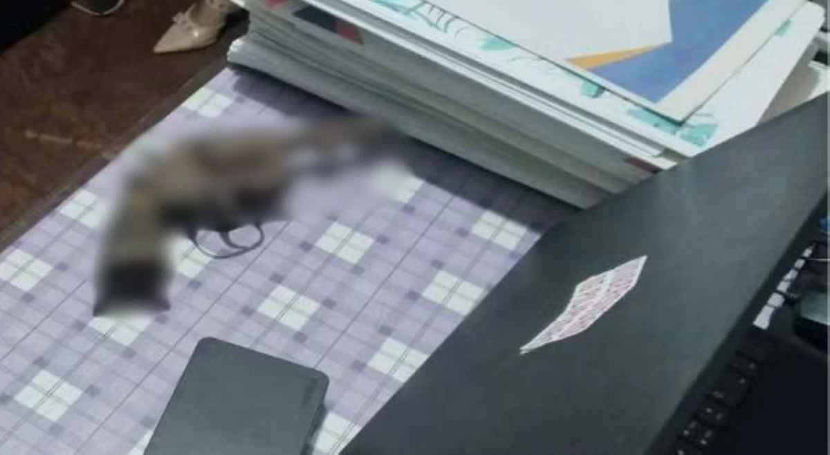 Grade 6 pupil, nakuhanan ng baril sa eskwelahan!