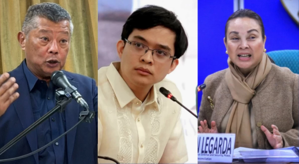 Ombudsman kina Leviste, Legarda: 'Baka gusto nilang umuwi nang nakaposas'