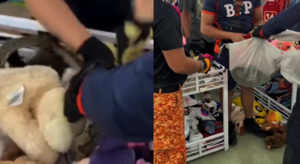 Sawa, natagpuang nakahalo sa mga laruan sa Dumaguete City