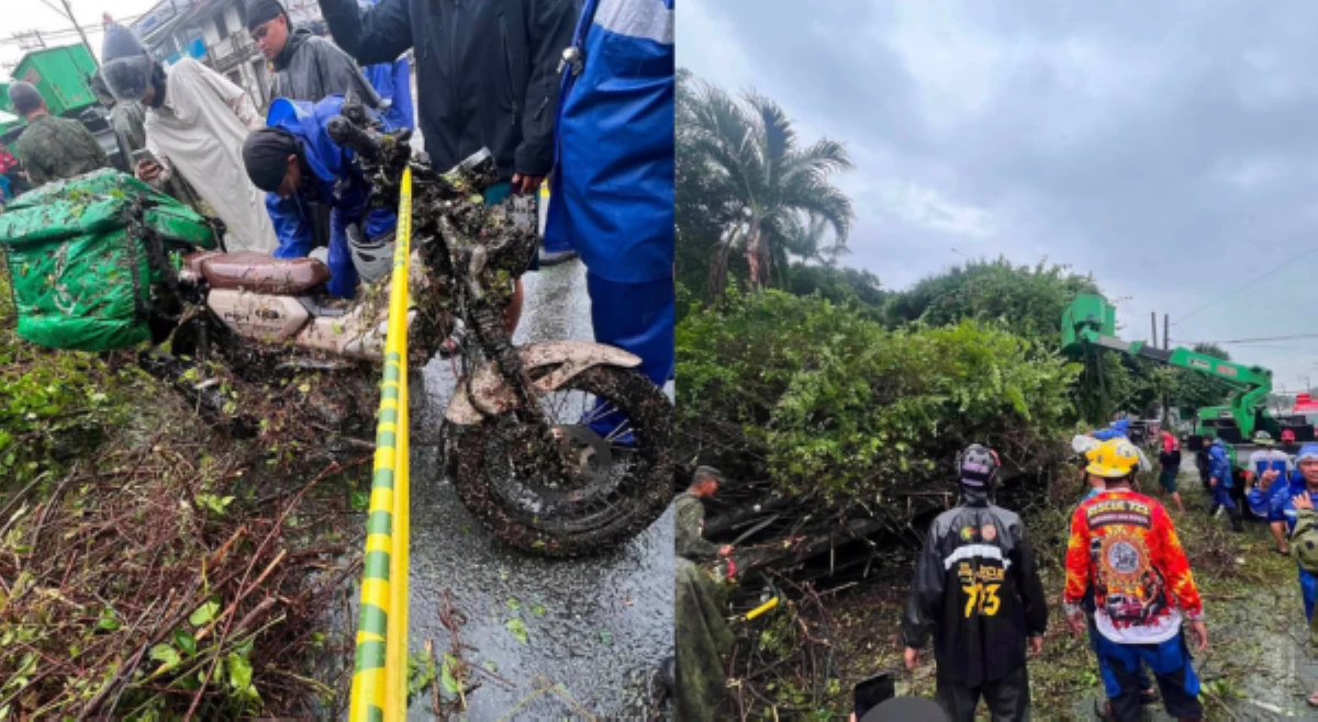 Delivery rider, patay matapos mabagsakan ng puno at poste sa Antipolo
