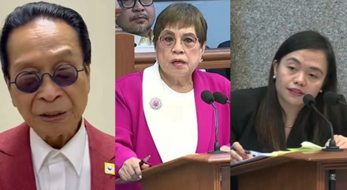 Matanda versus batang lawyer: Panelo kay Kapunan, 'Magpahinga na siya!'