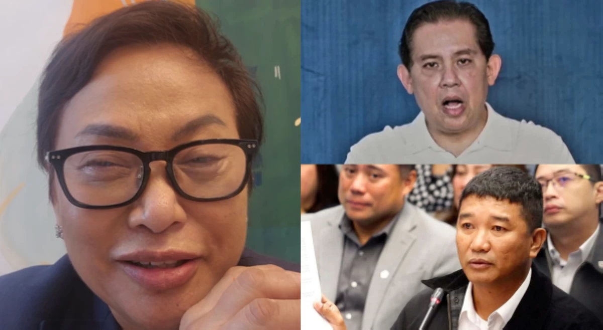 'Sana makulong kayong dalawa!' Guanzon, binanatan sina Guteza at Romualdez