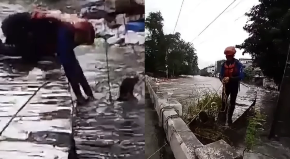Asong lumalangoy sa rumaragasang ilog, nasagip!