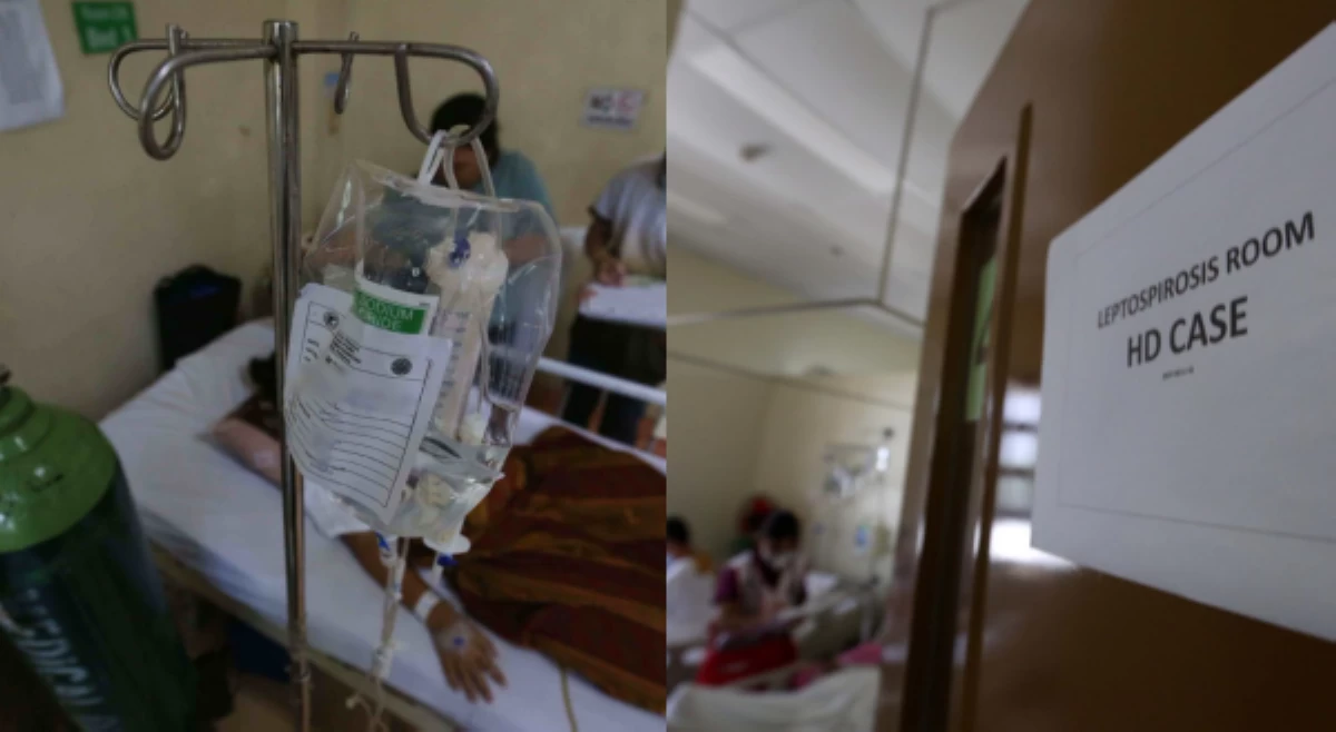 Total leptospirosis cases sa Maynila, 455 na!