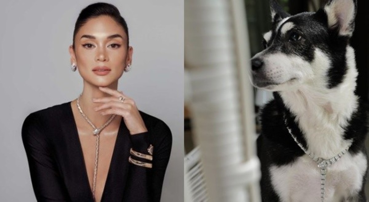 'Nagkataon lang?' Luxurious brand ng necklace na iniendorso ni Pia, suot ng aso ni Heart?