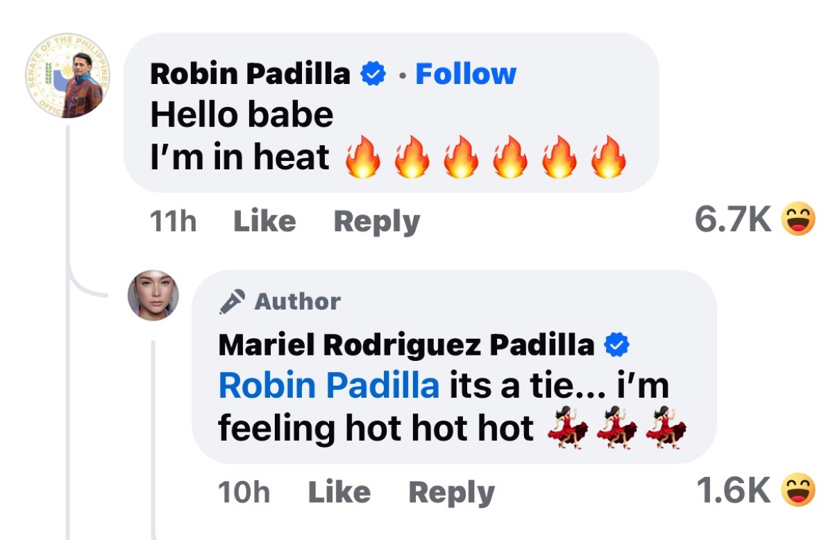 Photo courtesy: Screenshot from Mariel Rodriguez-Padilla (FB)