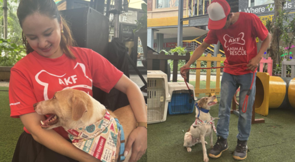 'Para kang nakaginto sa Olympics!' Mga epekto 'pag nag-volunteer ka sa animal shelter