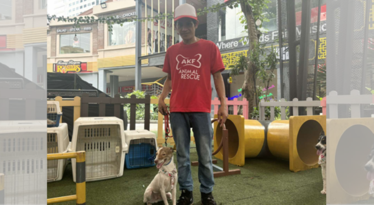 ALAMIN: Paano ang everyday life ng isang tagapag-alaga sa animal shelter?