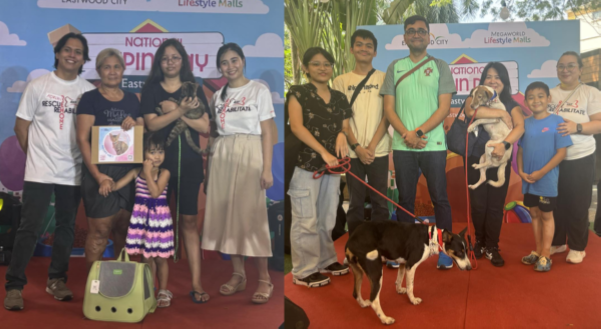 Gaano nga ba ka-fulfilling mag-ampon at mag-alaga ng mga aspin, puspin?