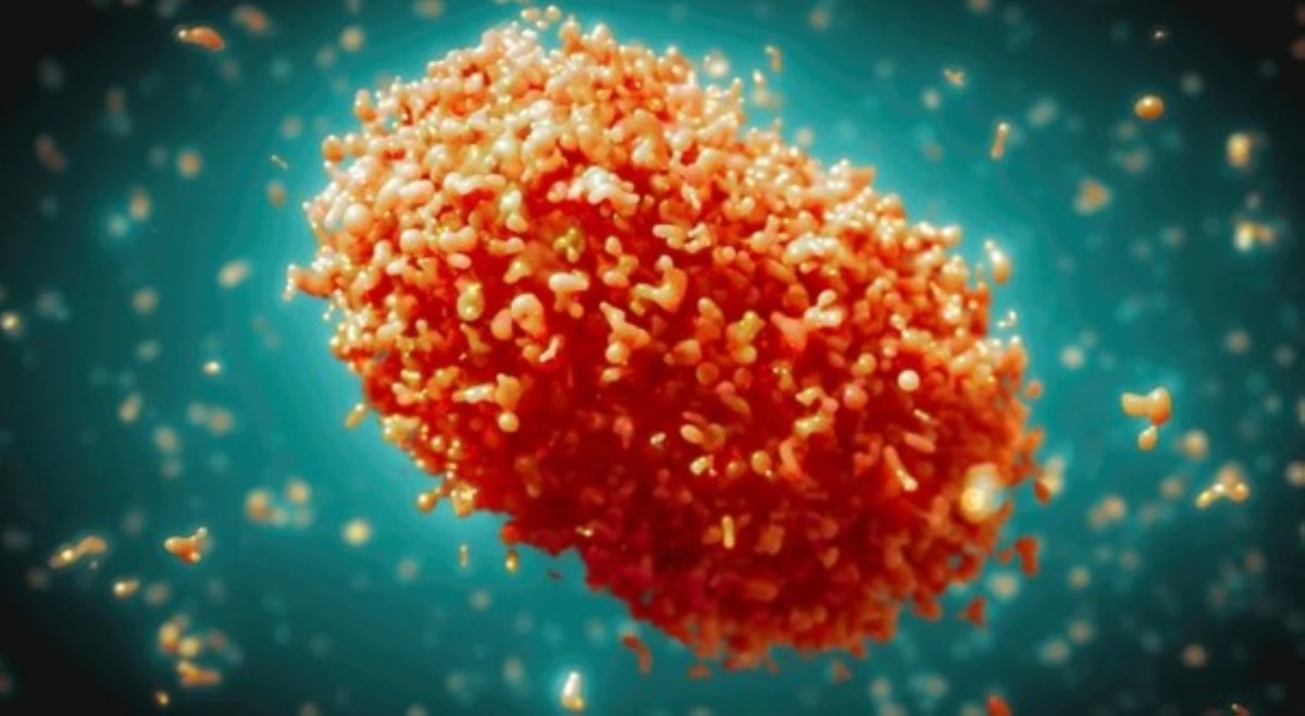 Kabuuang kaso ng mpox sa 'Pinas, 14 na; 5 aktibong kaso--DOH
