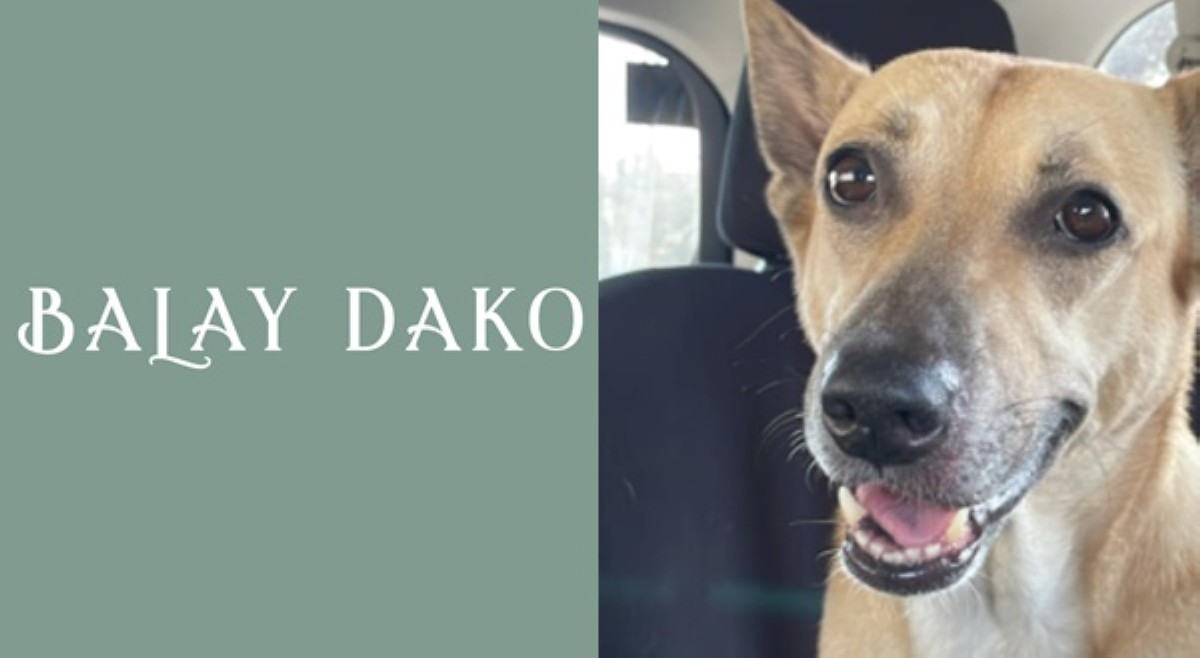 Pet-friendly resto, nagsalita na sa isyu ng diskriminasyon sa aspin ng isang customer