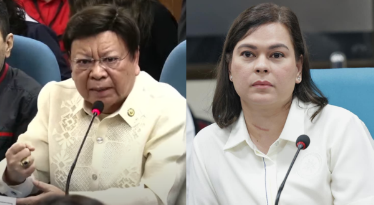 Marcoleta, pinagsabihan kapwa kongresista: 'You may not like the person... but respect the OVP!'