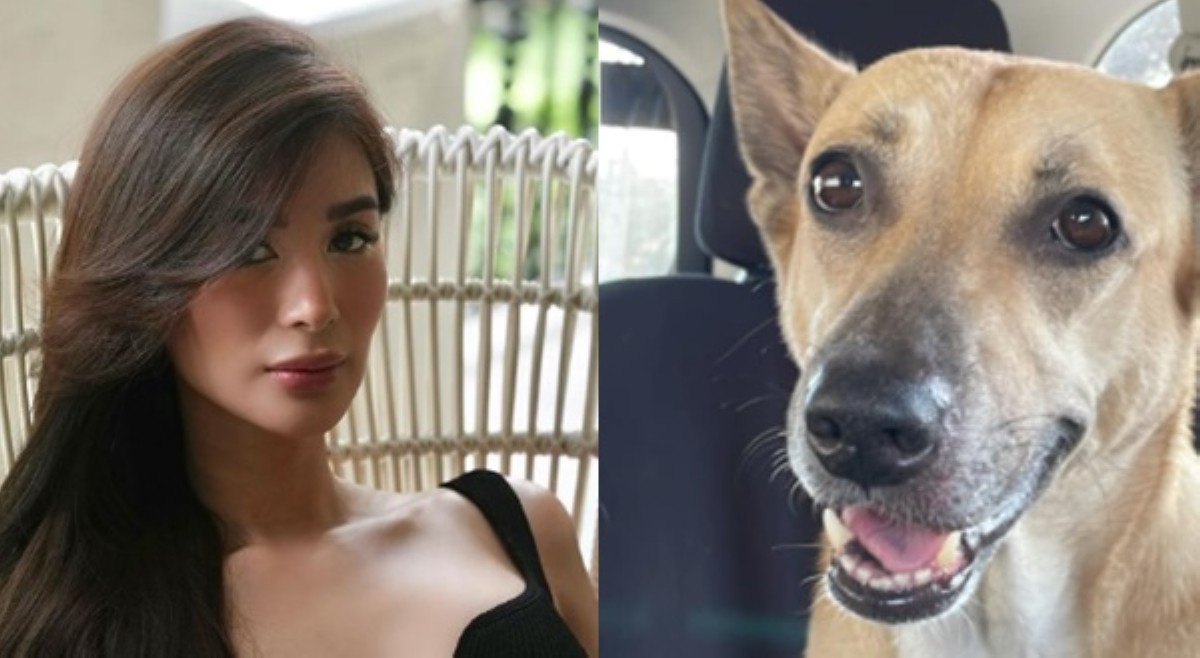 Heart Evangelista sa asping si Yoda: 'Sending love'
