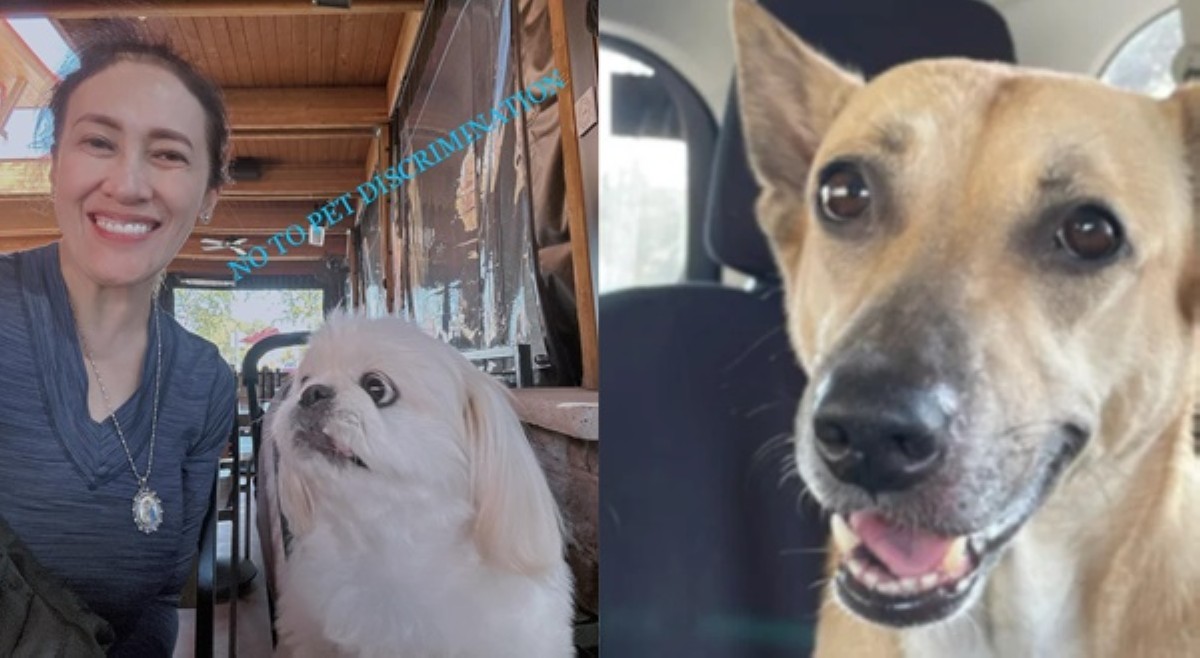 Ai Ai bet imbitahan si Yoda, nagbanta 'pag naranasan ng pet dog ang diskriminasyon