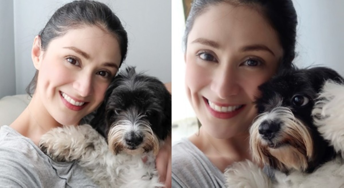 Carla proud aspin lover, may banat sa establishments na 'pet-friendly' kuno